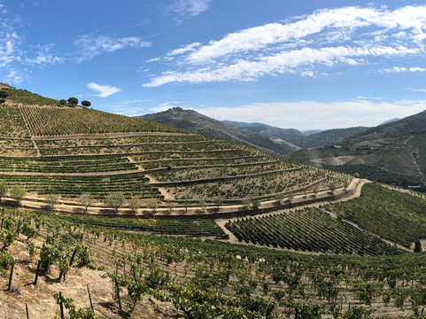 Anetours Transportation and Travel Solutions-马托西纽什必去景点