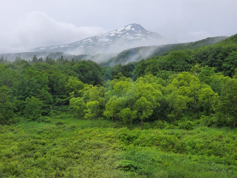 Hotel Foresta Chokai主图