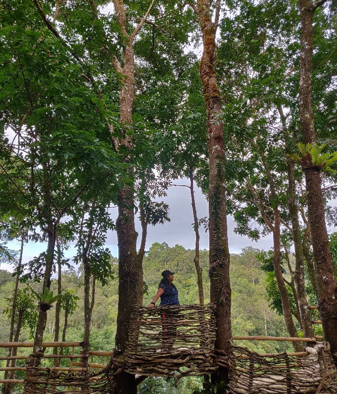 Pugad Viewing Deck-Bacolod必去景点