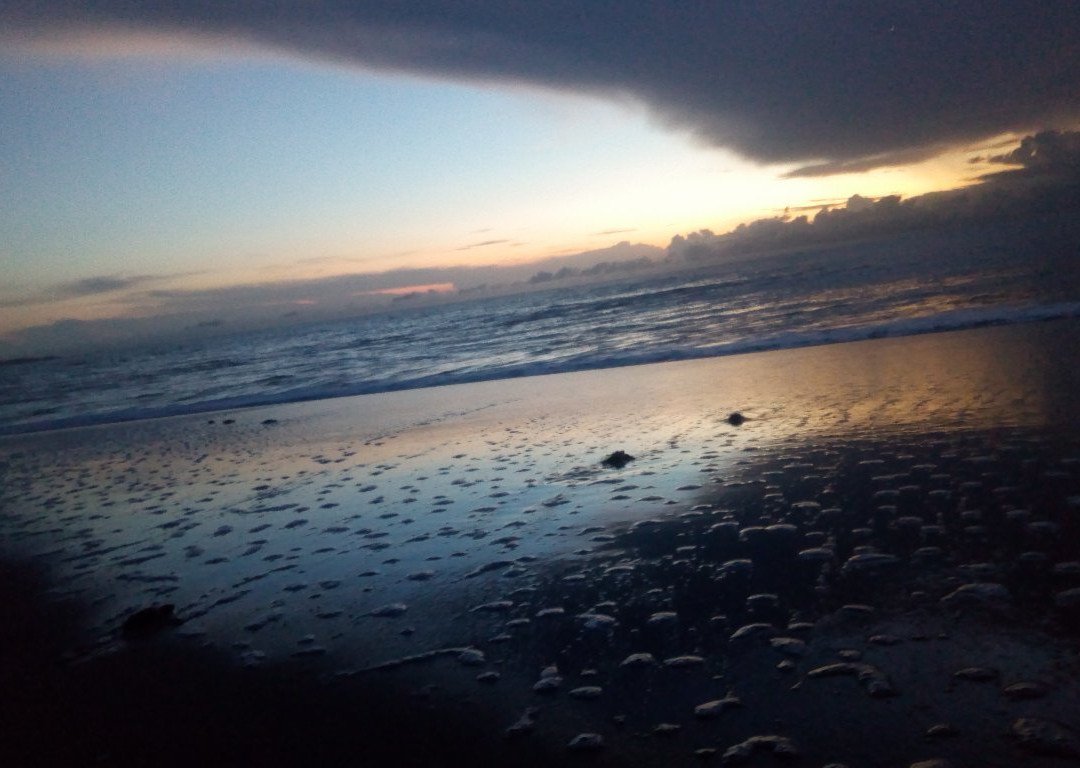 Hostal Casa Amarilla主图