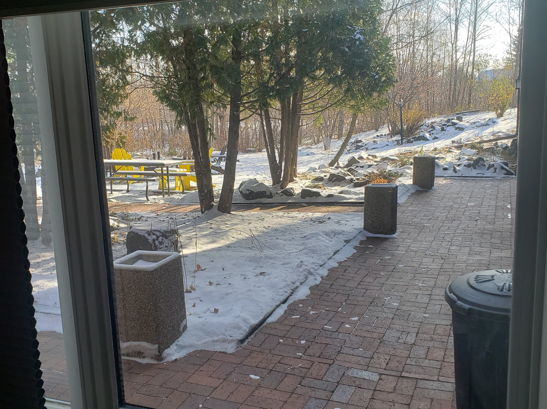 Willard Munger Inn主图