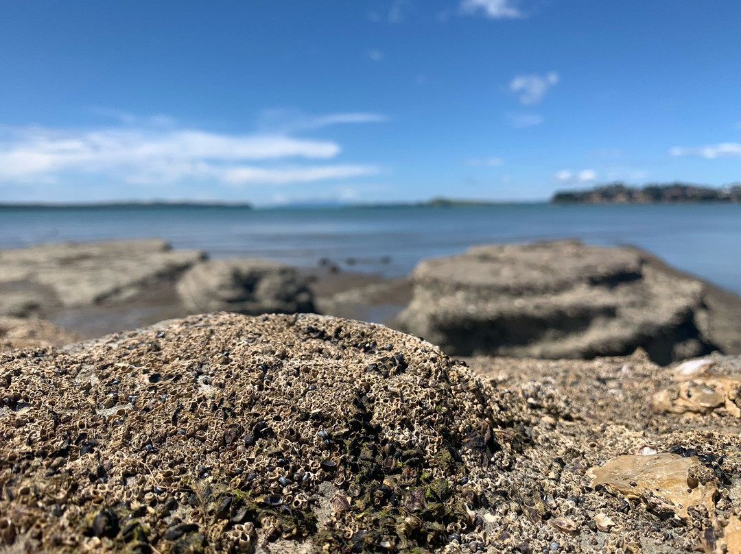 克希海滩住宿加早餐旅馆主图