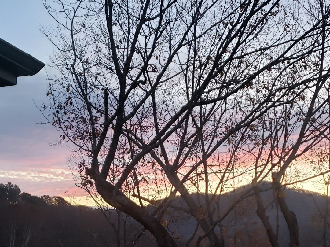 Nellysford Country Inn主图