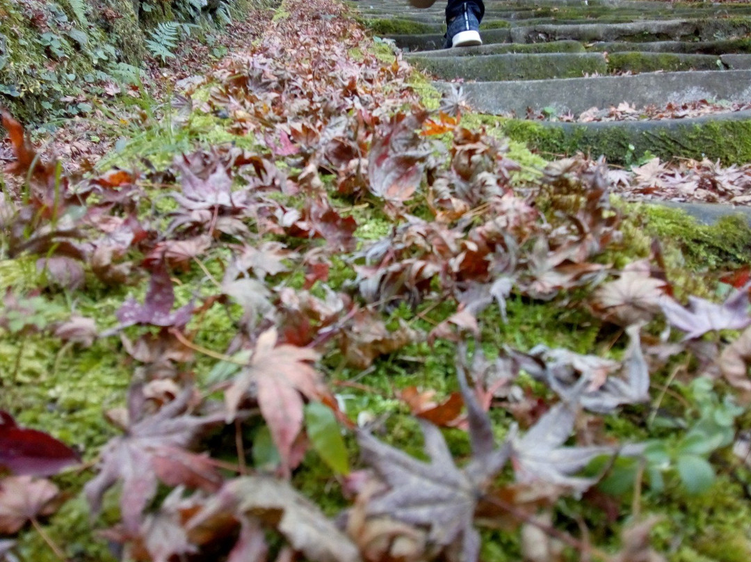Gakuenji Temple-出云市必去景点