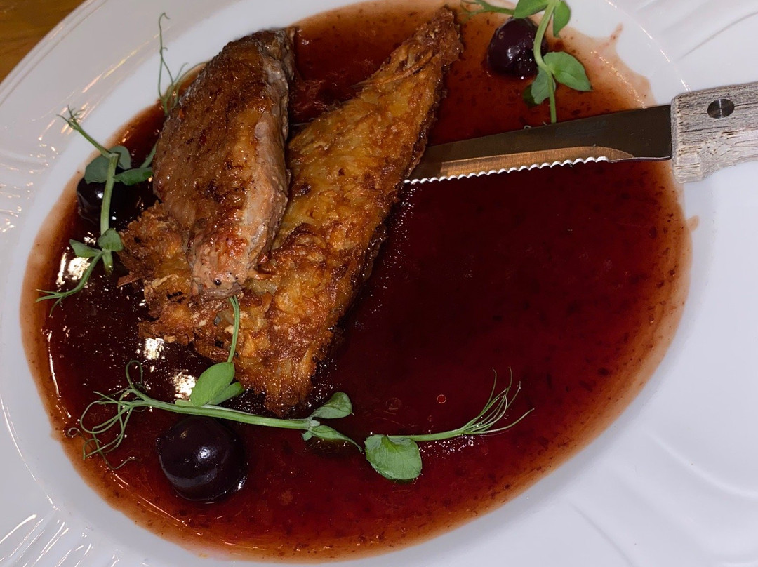 Plas Hafod Hotel主图