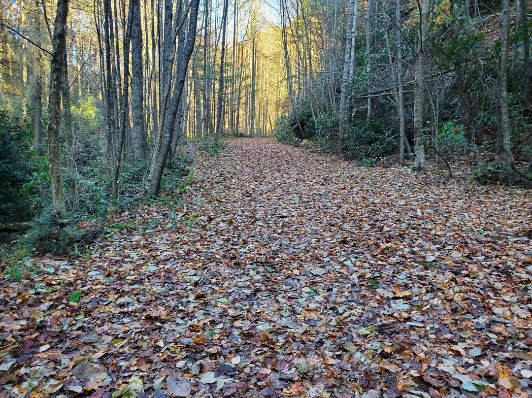 Mud Creek Falls景点图片