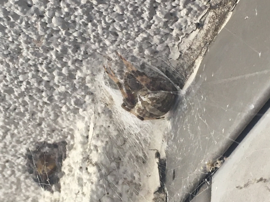 Chickasaw Retreat & Conference Center主图