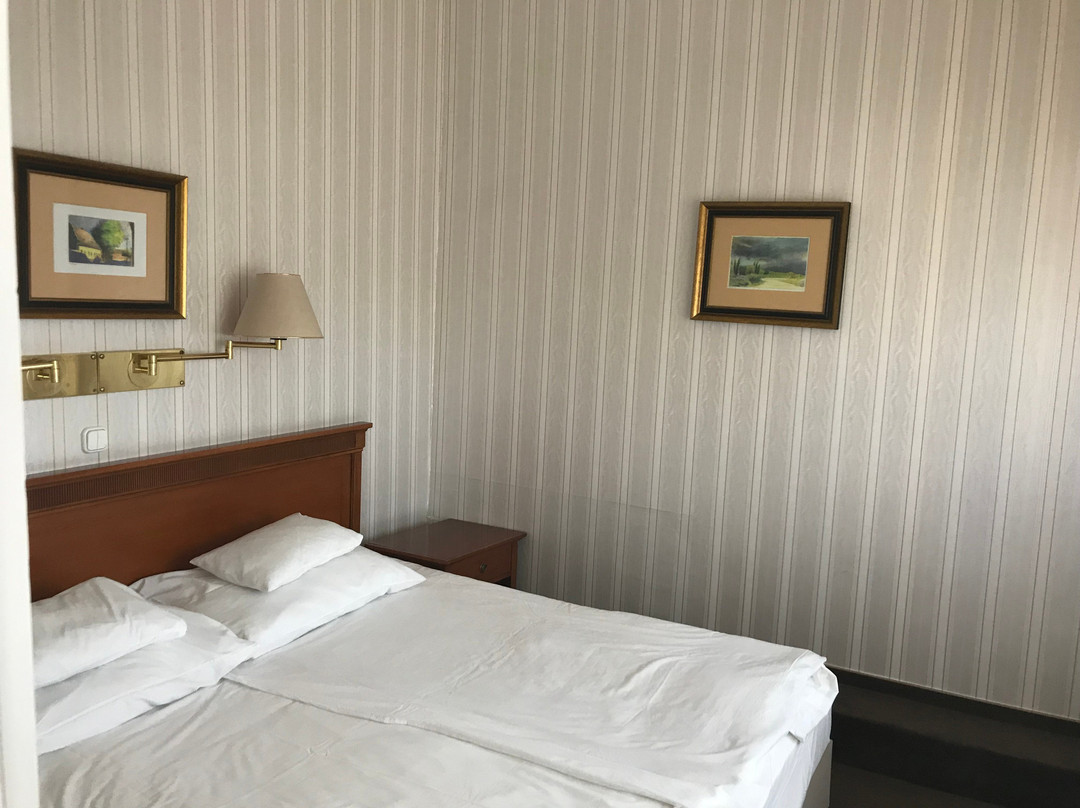 Duna Wellness Hotel主图