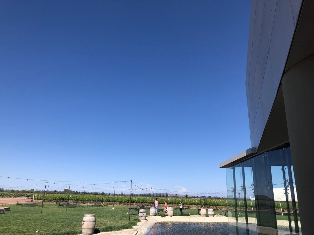 Don Manuel Villafañe Bodega-Maipu必去景点