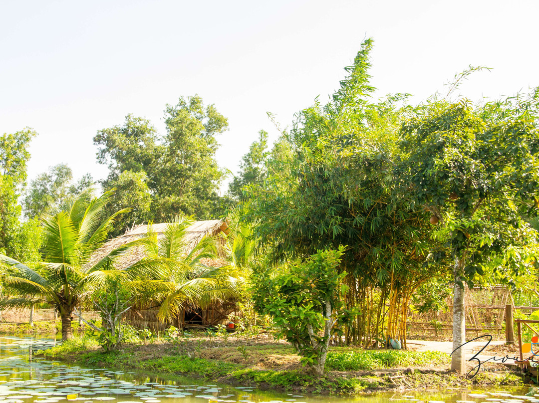 Zivuu Homestay