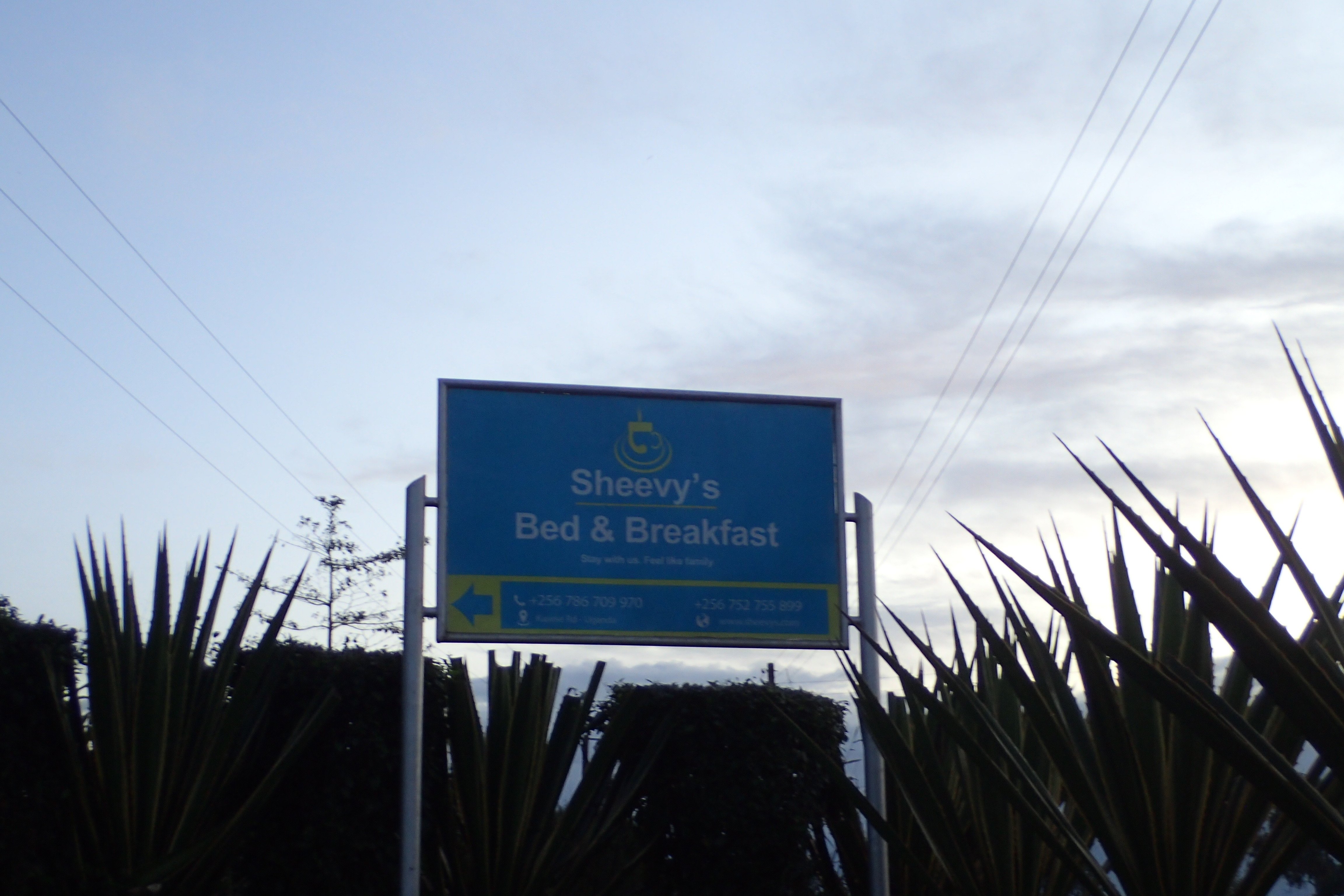 Sheevys Bed and Breakfast-浴室