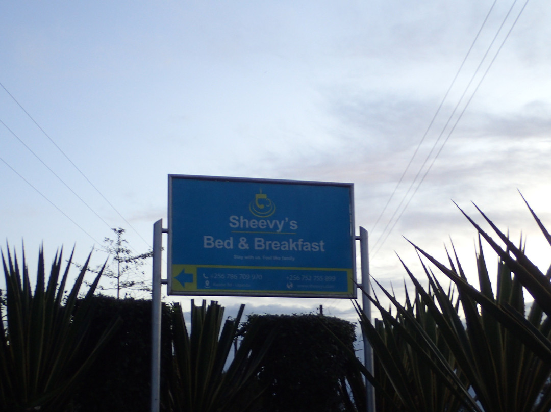 Sheevys Bed and Breakfast主图