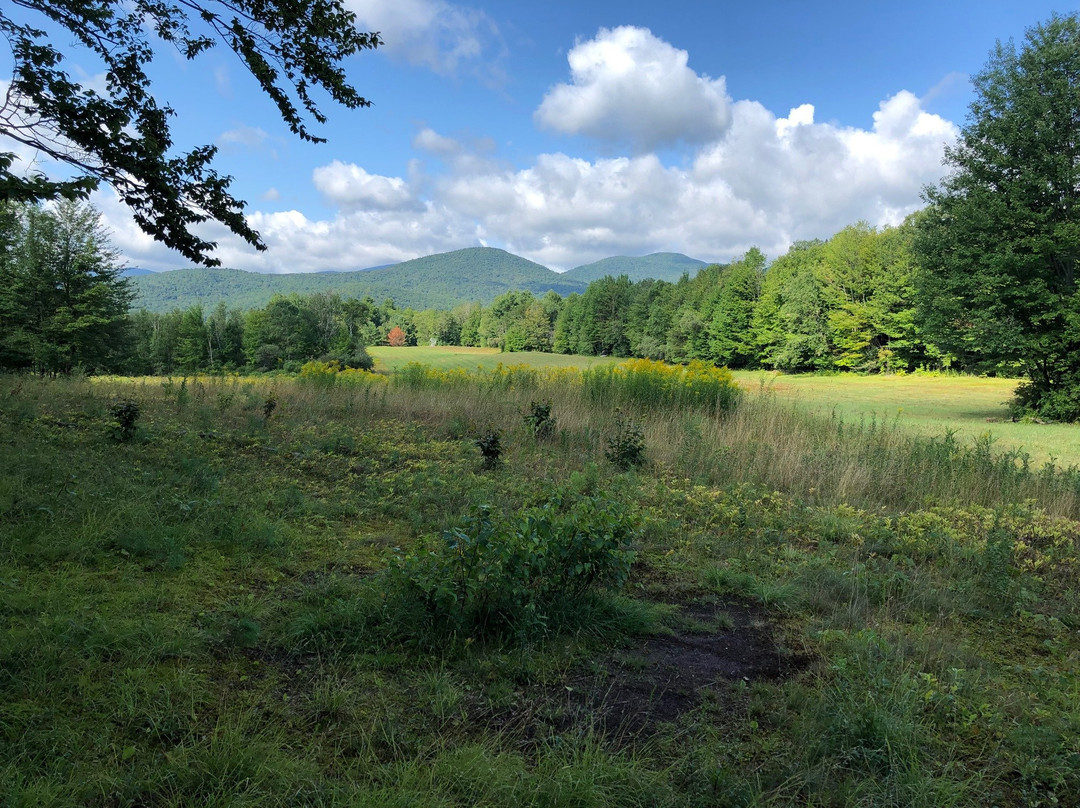 Wiessner Woods-斯托必去景点