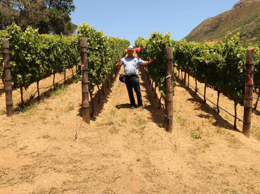 Eagles Nest Wine-康士坦提亚必去景点