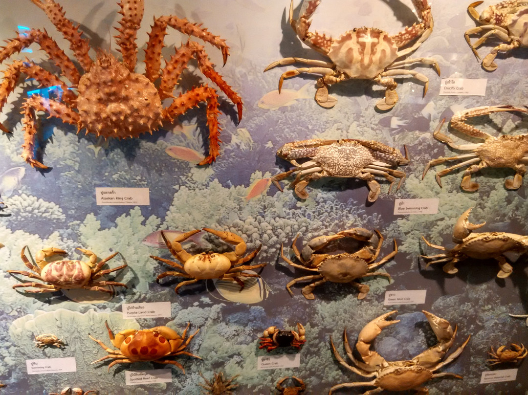 Princess Maha Chakri Sirindhorn Natural History Museum景点图片