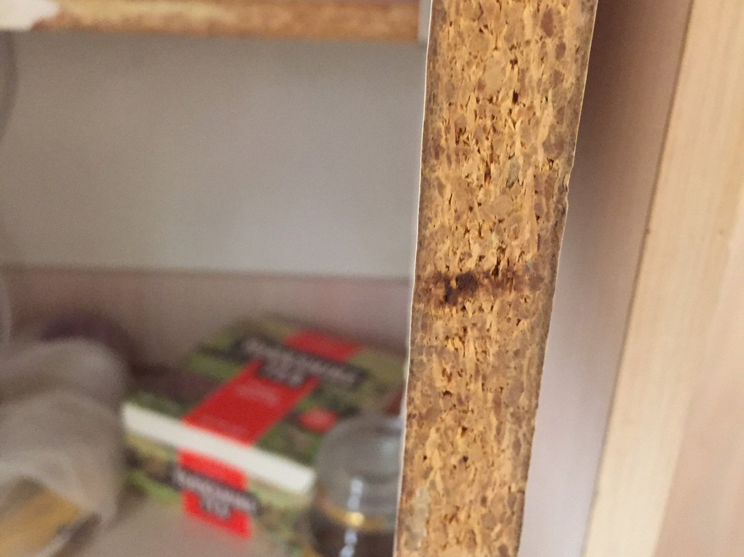 Nowra Motor Inn主图