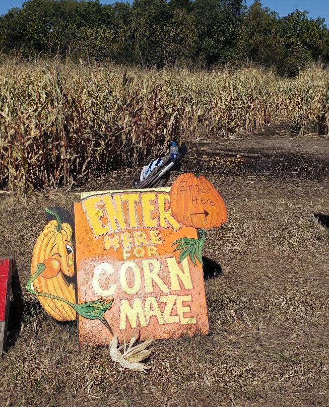 Roca Berry Farm-Roca必去景点