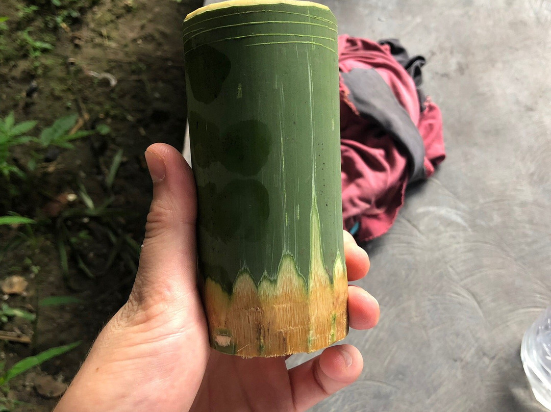 Highland Tour-邦隆必去景点