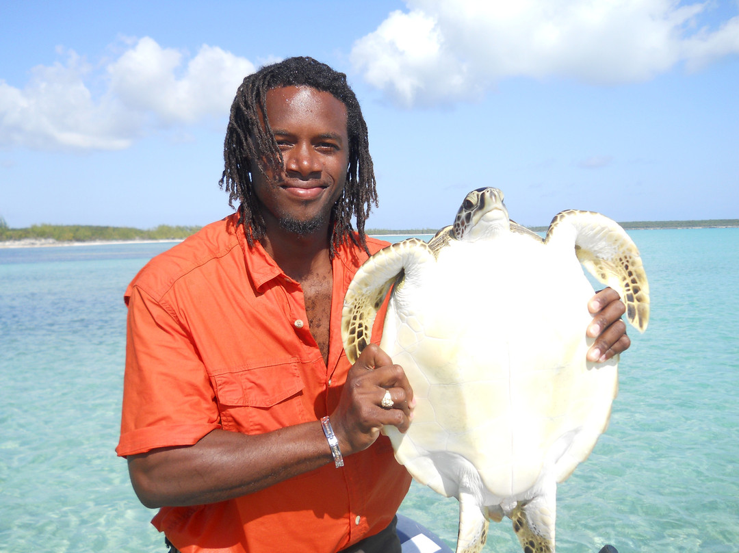 Fishbone Tours-伊柳塞拉必去景点