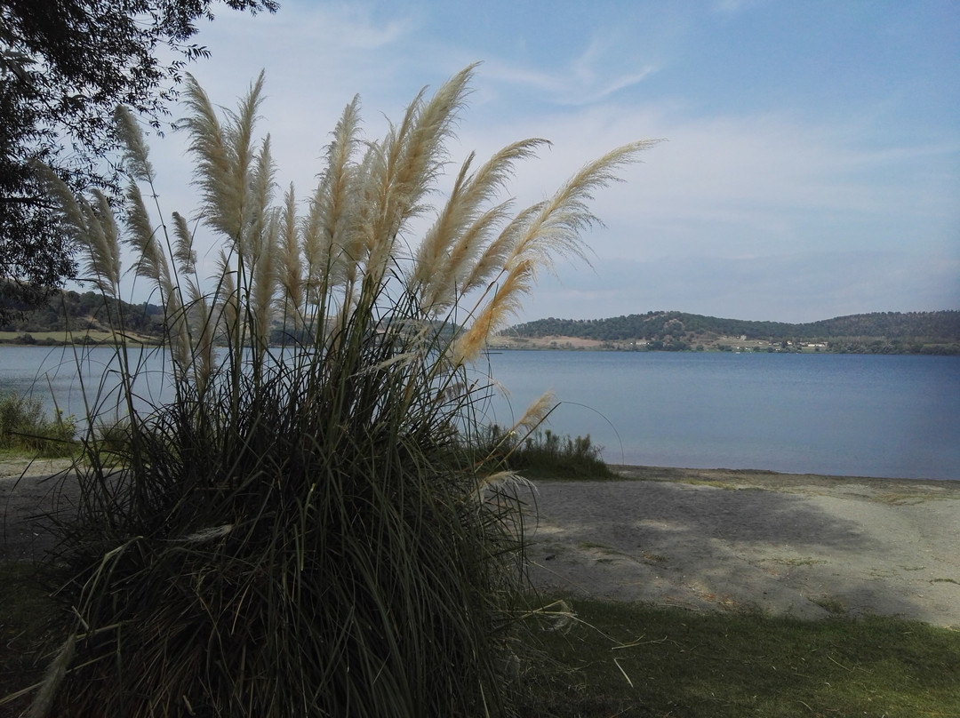Lago di Martignano-罗马必去景点