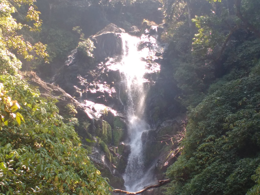 Vibhooti Falls景点图片
