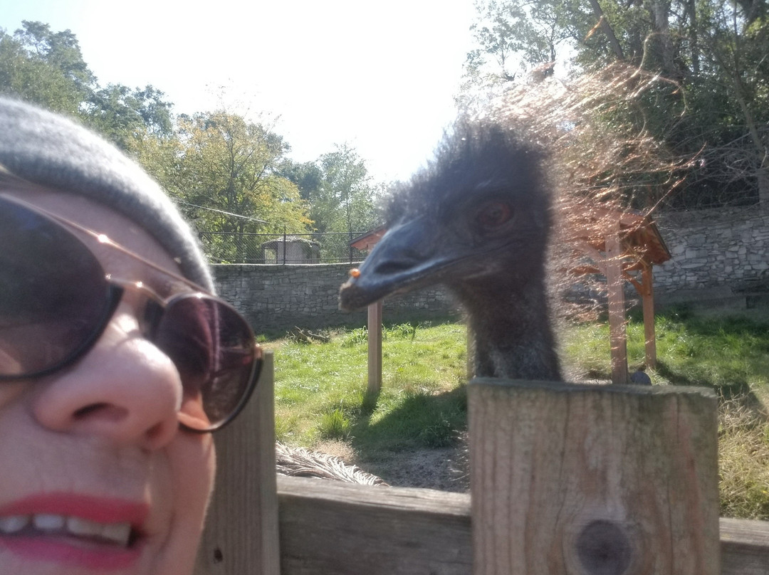 Washington Park Zoo-密歇根城必去景点