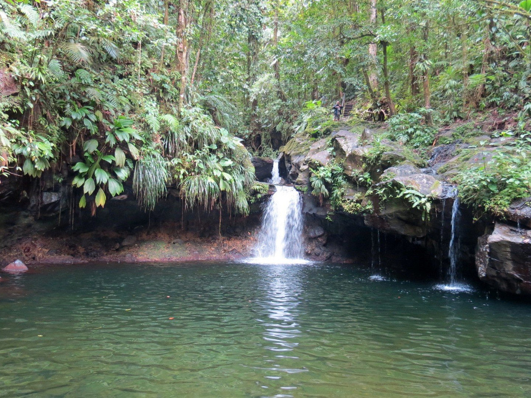 Bassin Paradise-Capesterre-Belle-Eau必去景点