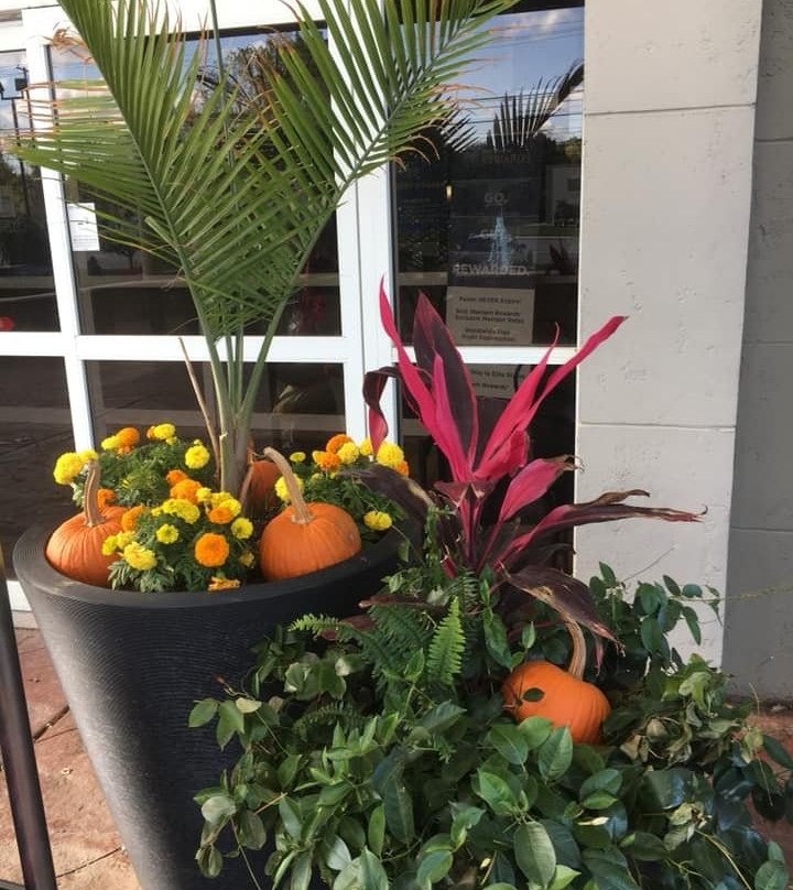 贝斯特韦斯特桑达斯基套房酒店主图