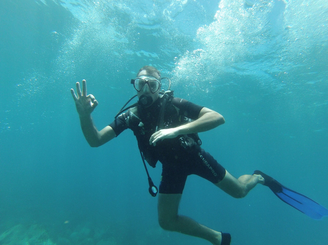 GwadActivites-Le Gosier必去景点