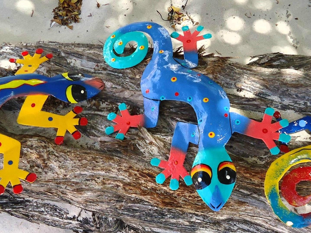 The Lazy Lizard-棕榈/鹰海滩必去景点