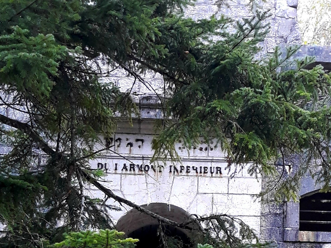 Fort Malher du LArmont Inférieur景点图片
