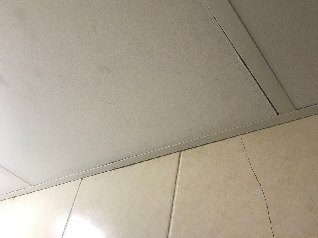 可乐娜饭店主图