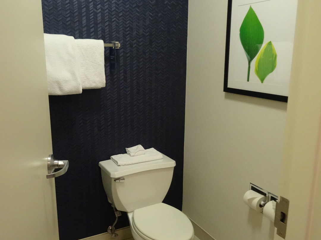 Fairfield by Marriott Inn & Suites Chicago Naperville主图