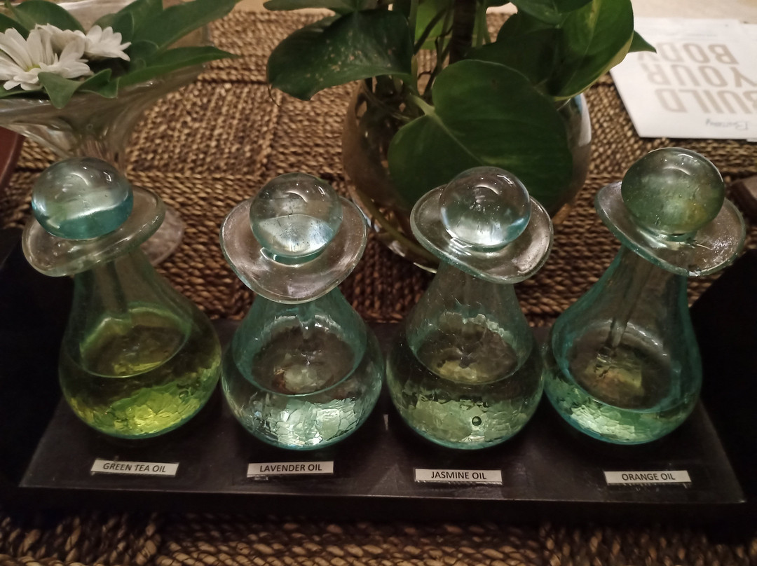 The Battery Health, Spa and Family Club景点图片