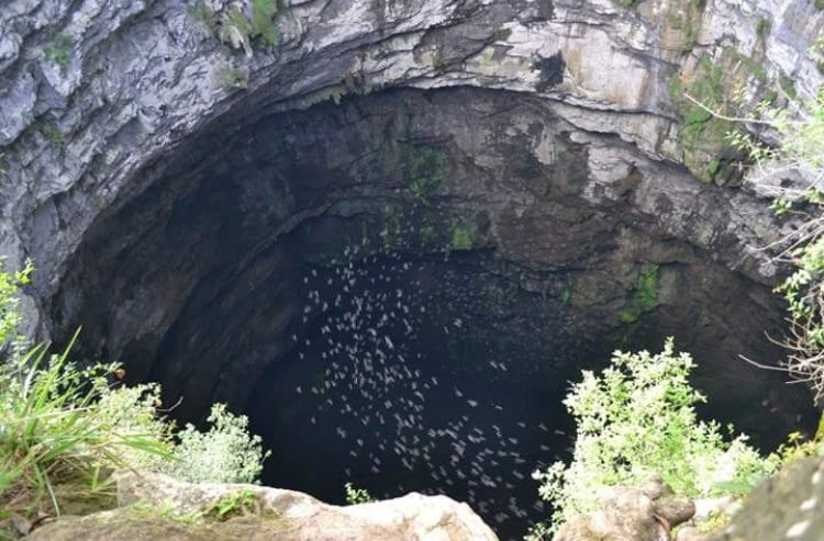 The Cave of Swallows景点图片