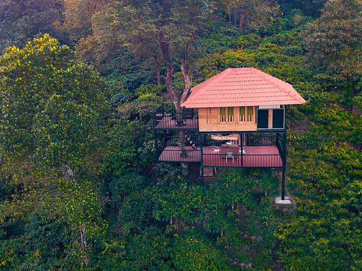 Marmalade Springs主图