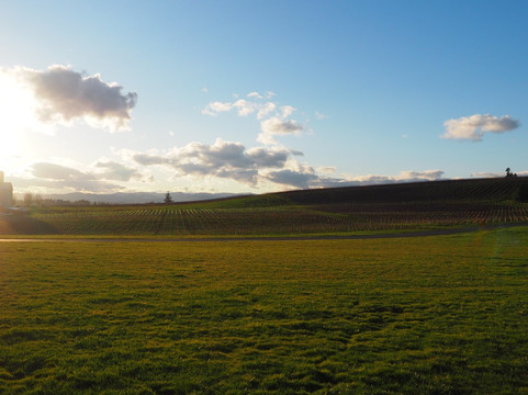Wine Tours by Phil-Dundee必去景点