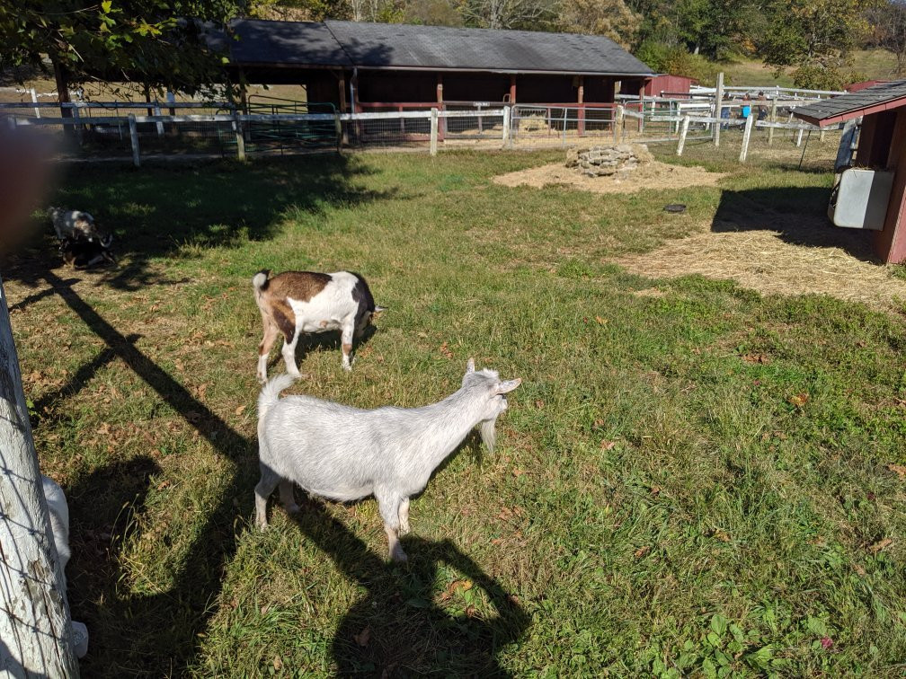 Muscoot Farm-Katonah必去景点