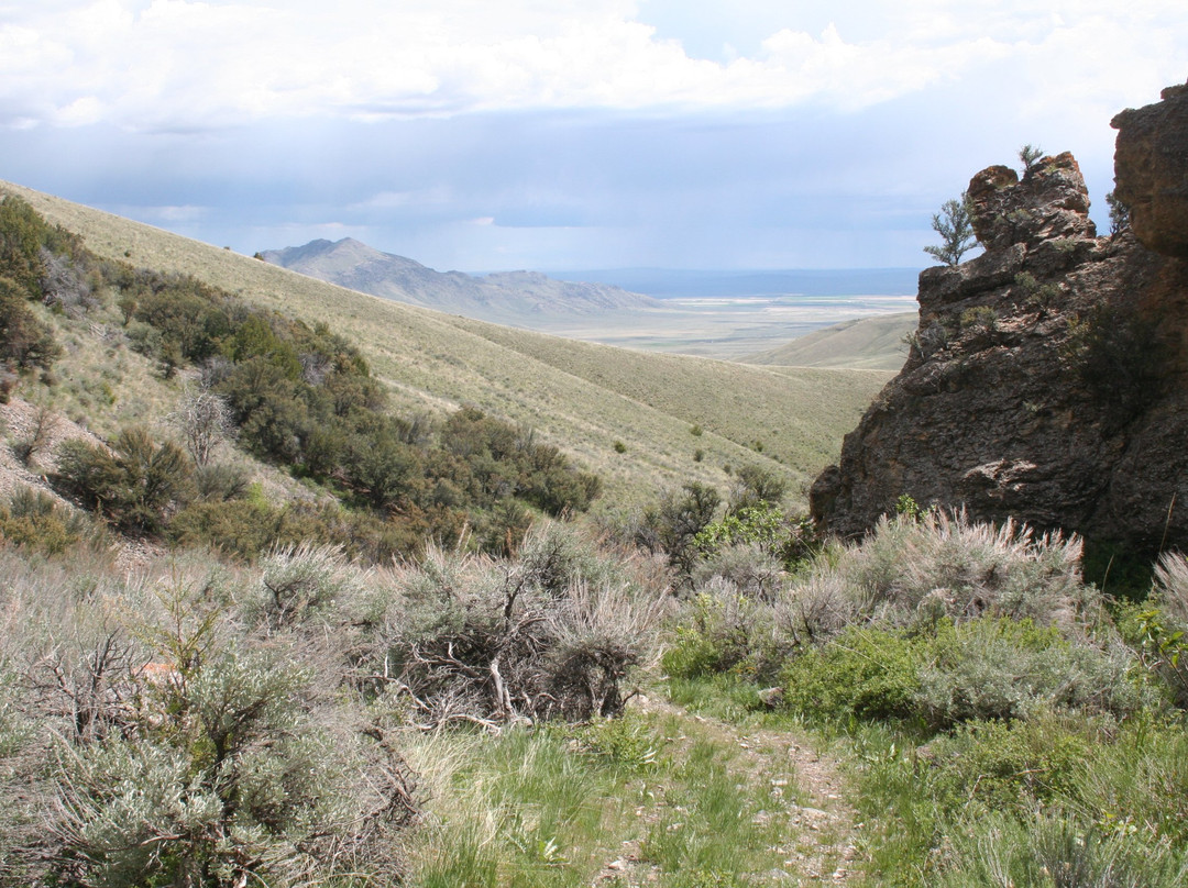 Salmon-Challis National Forest景点图片
