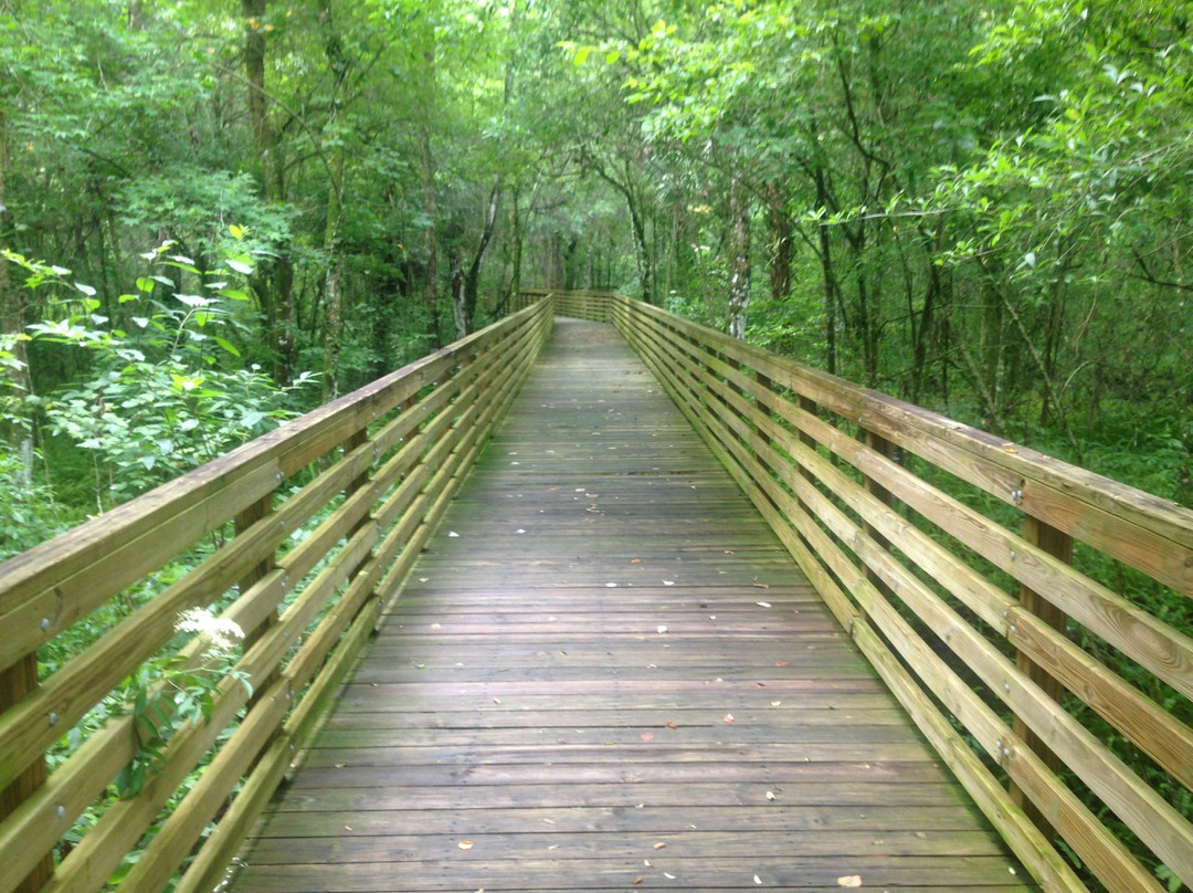 Eureka Springs Park-坦帕必去景点