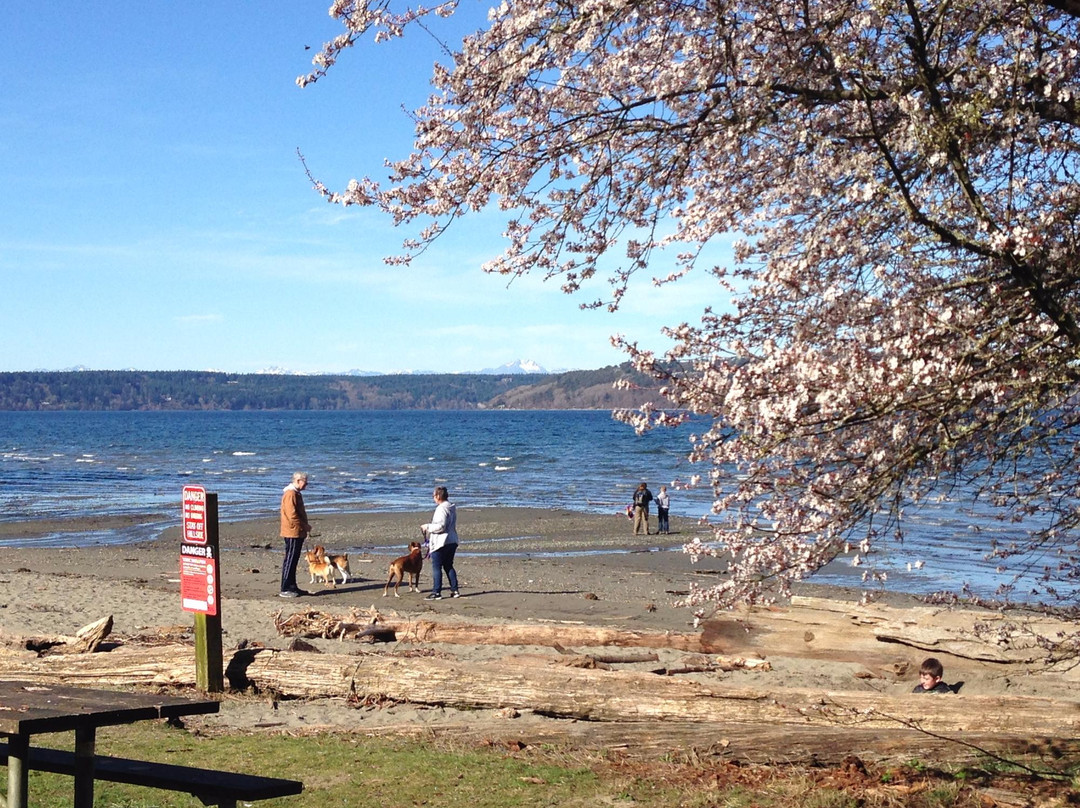 Dash Point State Park景点图片