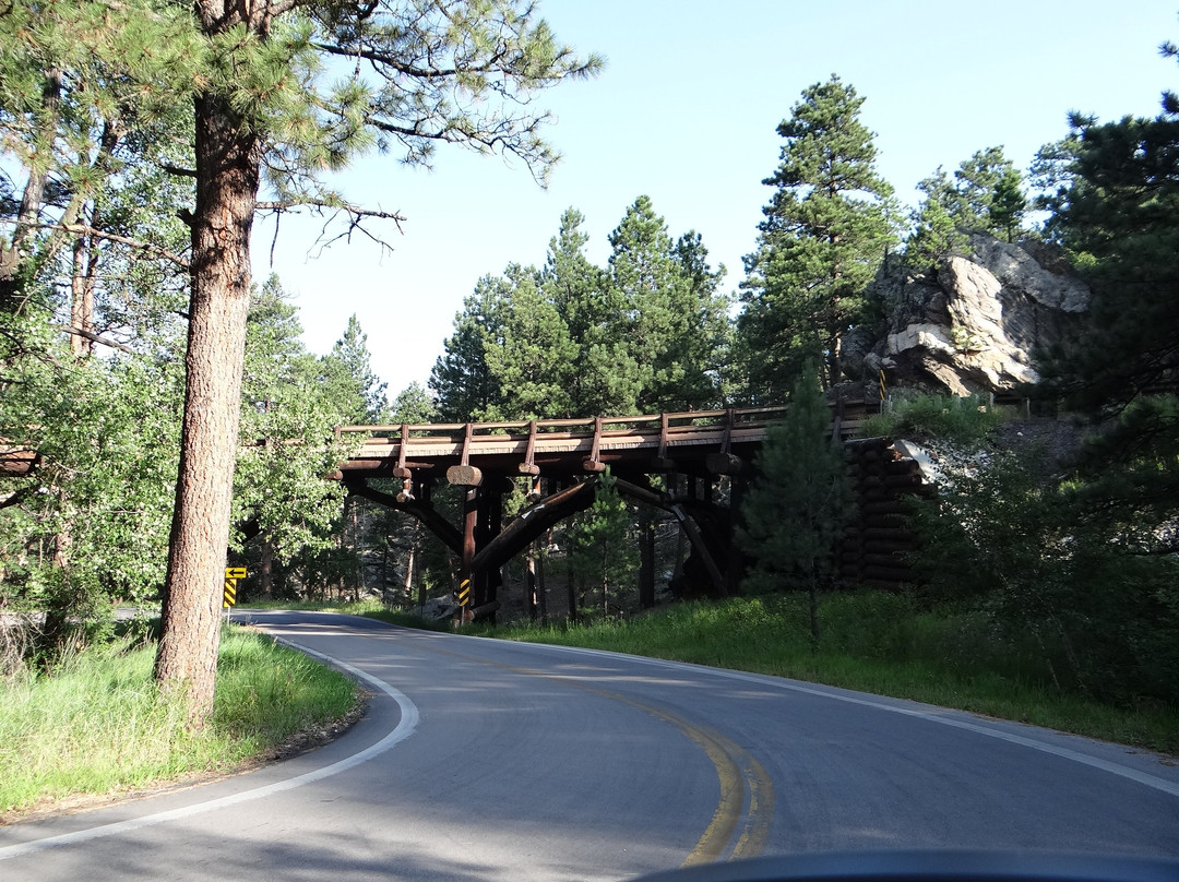 Iron Mountain Road景点图片