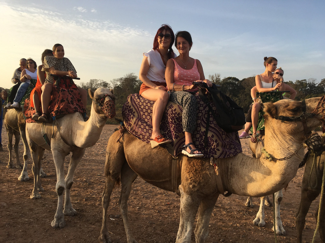 Agadir Horse & Camel-Taghazout必去景点
