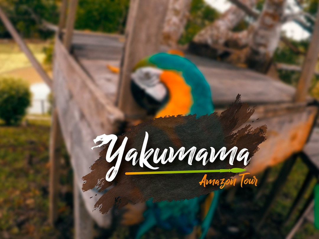 Yakumama Amazon Tours-伊基托斯必去景点