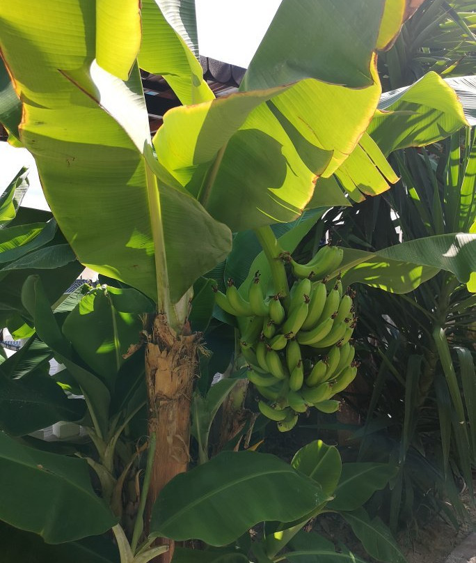 Club Alda Hotel主图