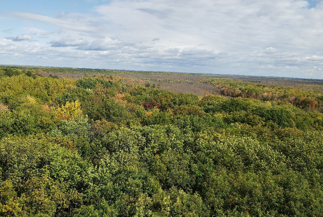 St. Croix State Park-明尼苏达必去景点
