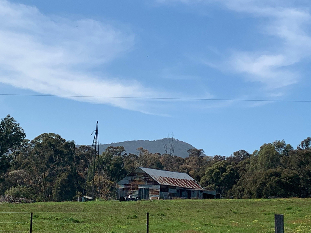 Watson's Mountain Country Trail Rides - Day Tours景点图片