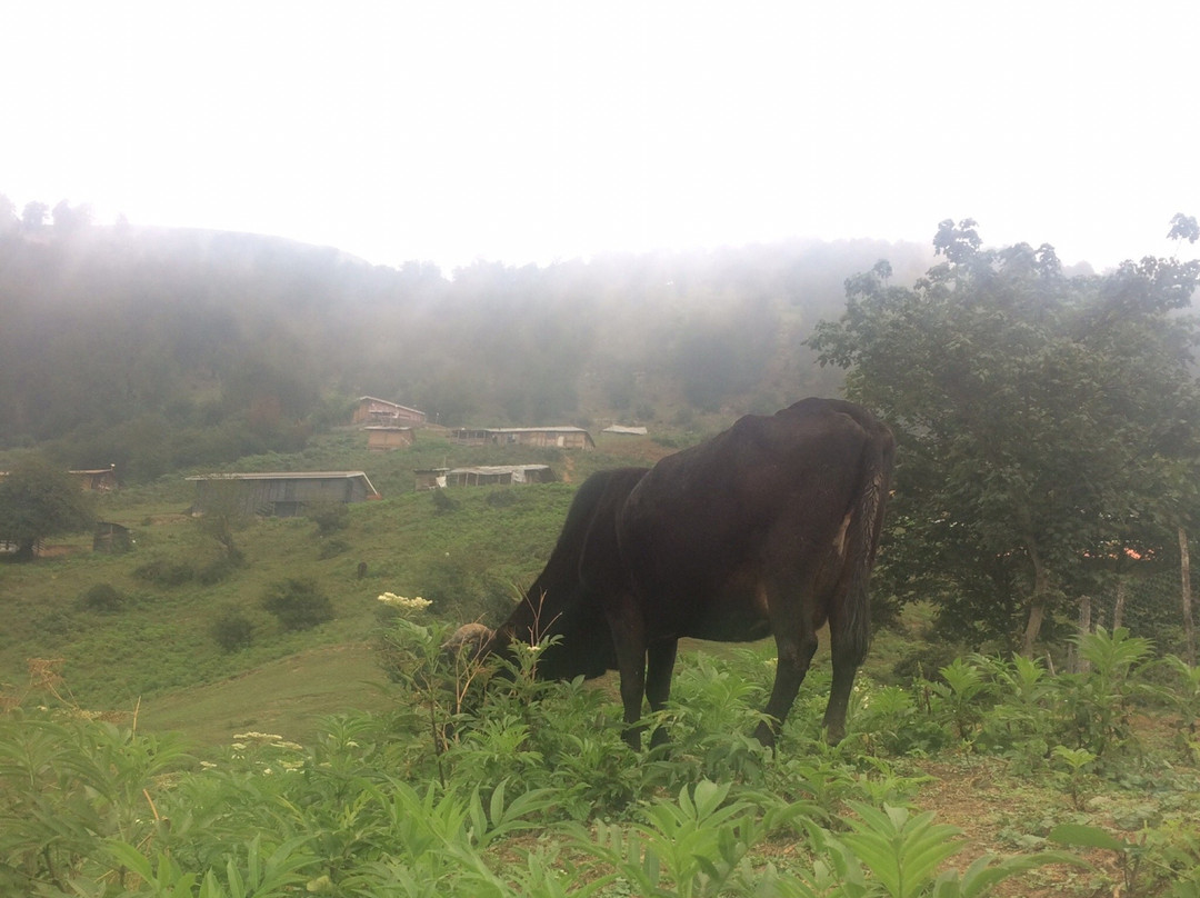 Khalkal - Asalem Road景点图片