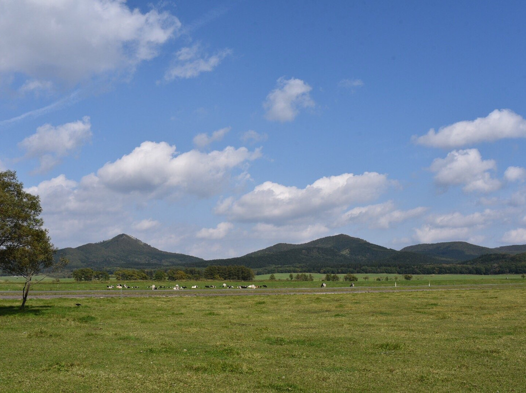 渡邊體驗牧場-弟子屈町必去景点