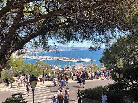 GreenTours Palma-马洛卡帕尔马必去景点